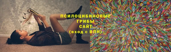 кокс Билибино