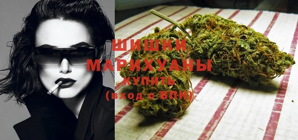 гашик Новокубанск