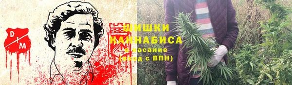 ешки Абаза
