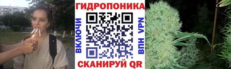 Бошки Шишки ГИДРОПОН  Североморск 